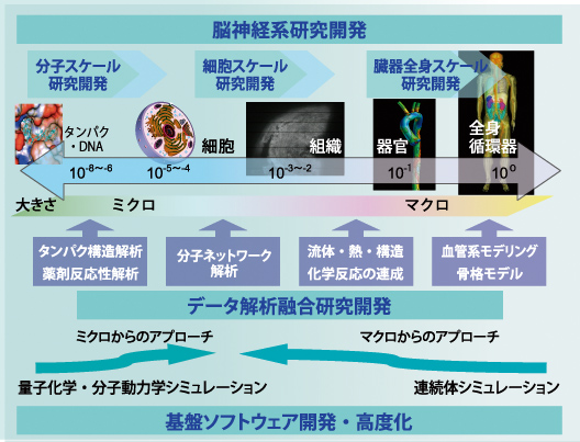 脳神経研究開発